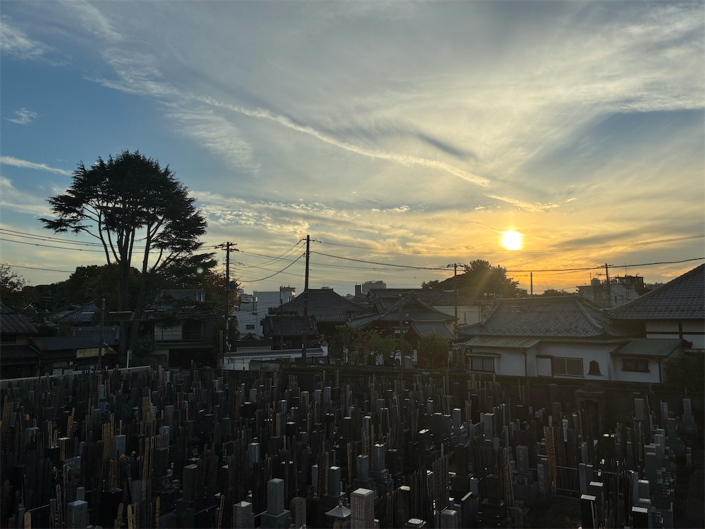 f:id:TokuheiKumagai:20251112155822j:image