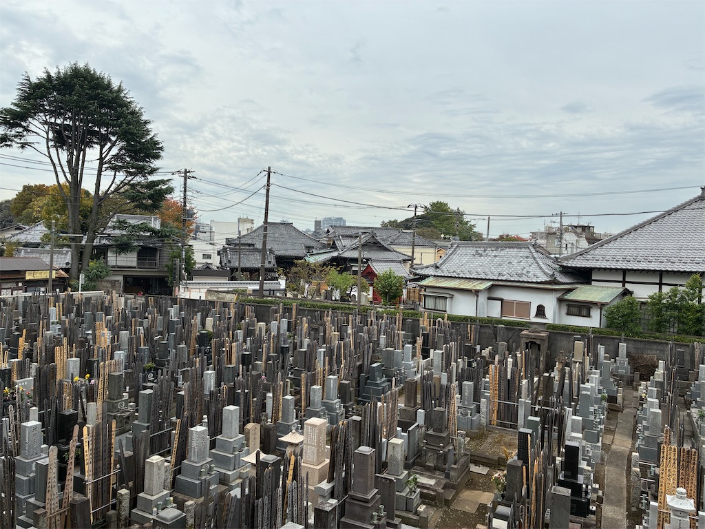 f:id:TokuheiKumagai:20251113135719j:image