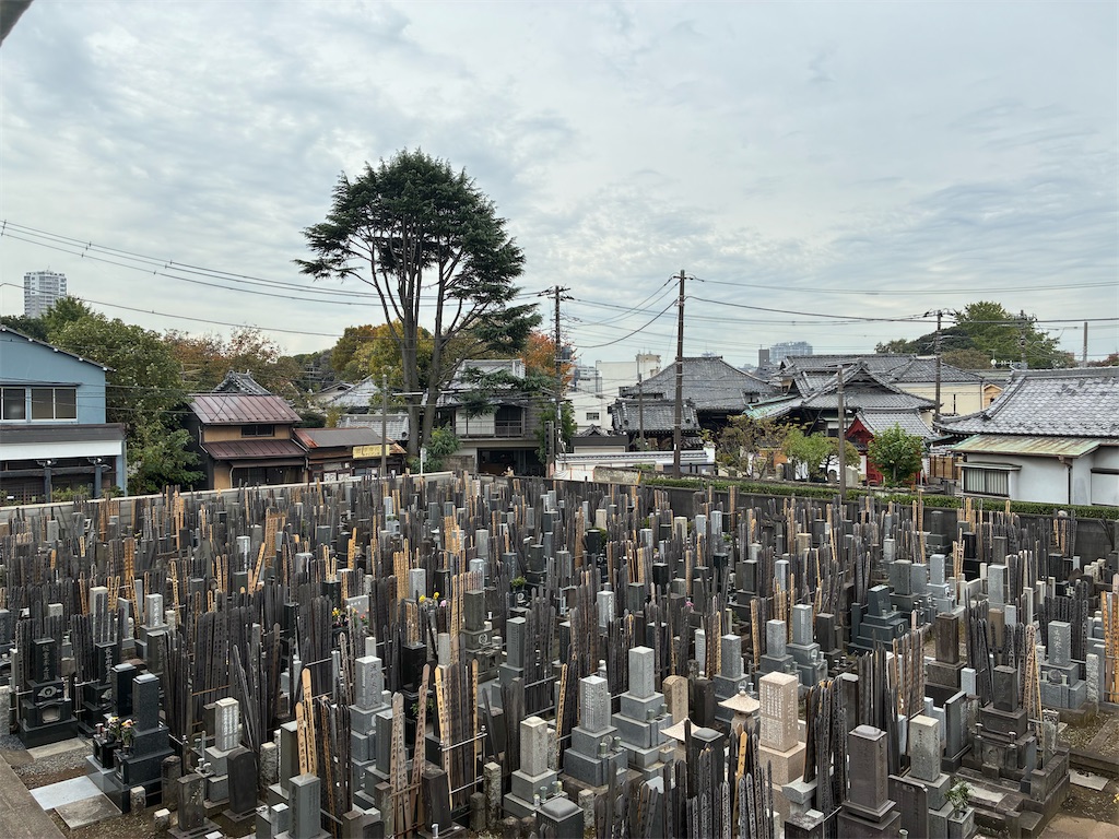 f:id:TokuheiKumagai:20251113135729j:image