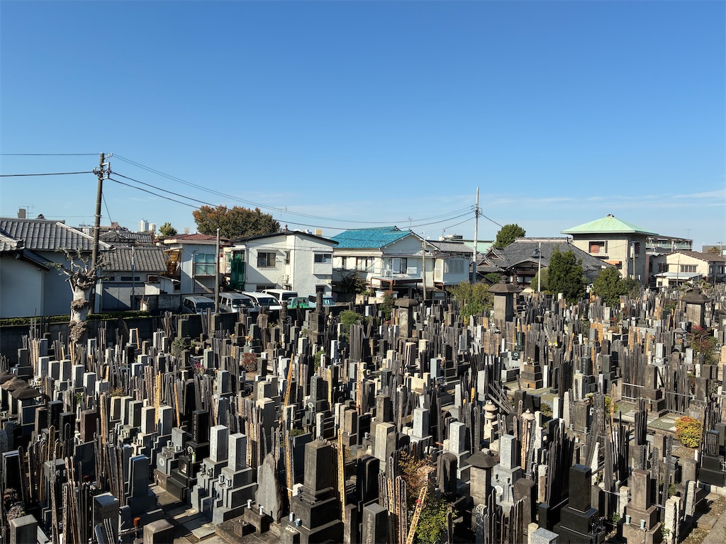 f:id:TokuheiKumagai:20251114112105j:image