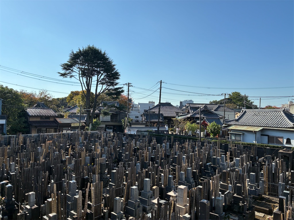 f:id:TokuheiKumagai:20251114112115j:image