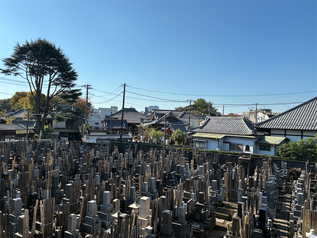 f:id:TokuheiKumagai:20251114112120j:image