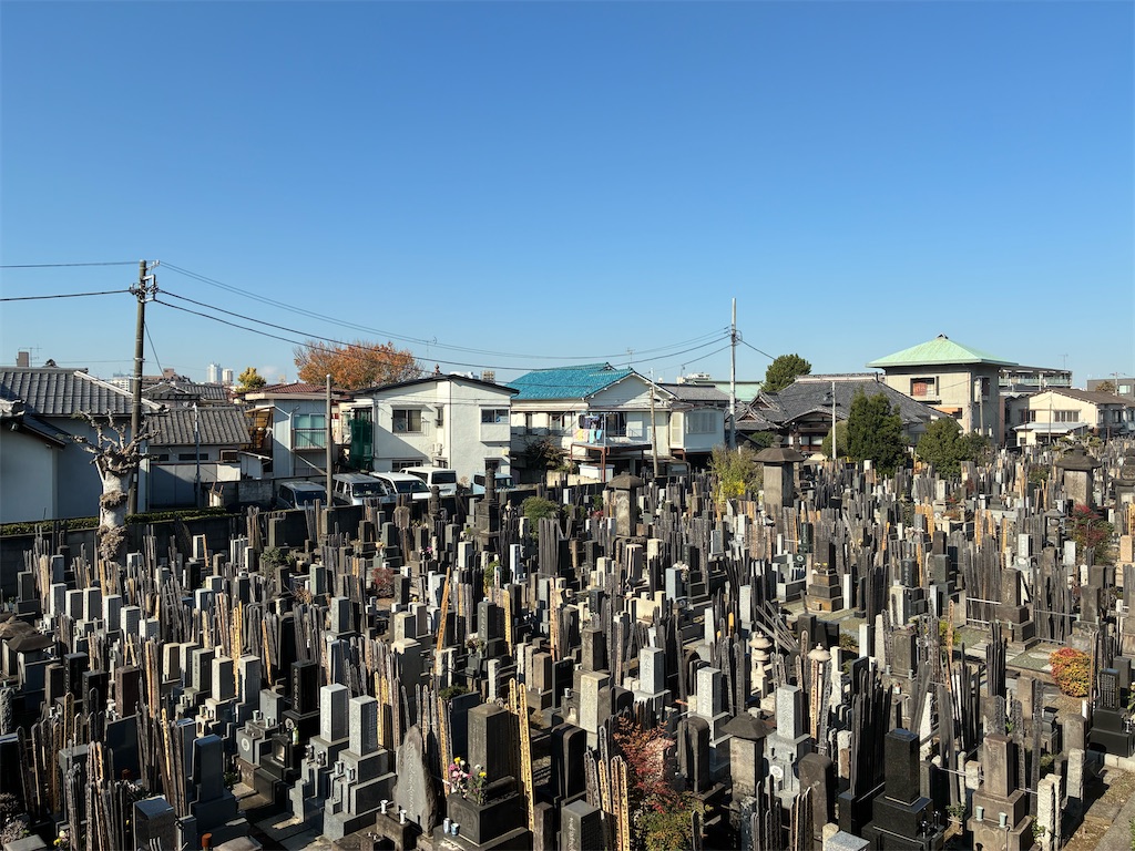 f:id:TokuheiKumagai:20251128105930j:image