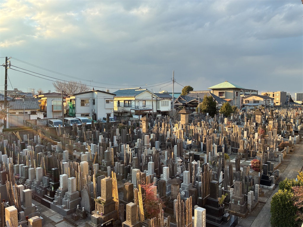f:id:TokuheiKumagai:20260202173209j:image
