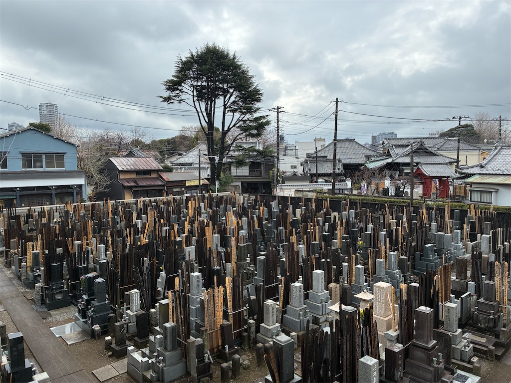 f:id:TokuheiKumagai:20260310124313j:image