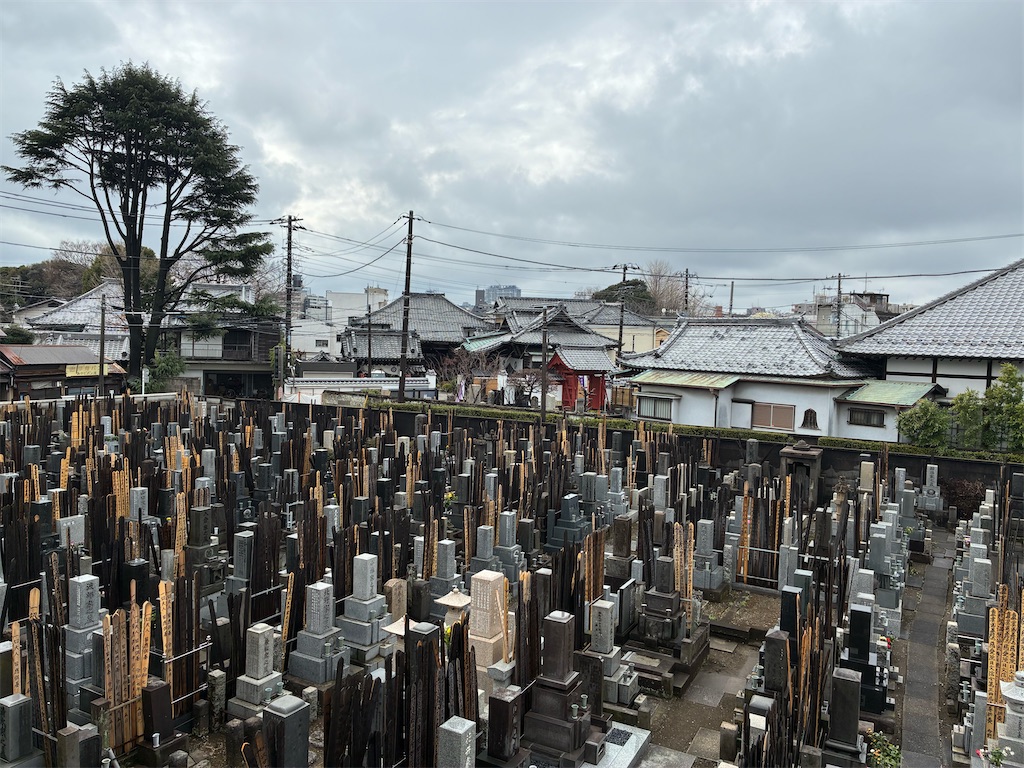 f:id:TokuheiKumagai:20260310124319j:image