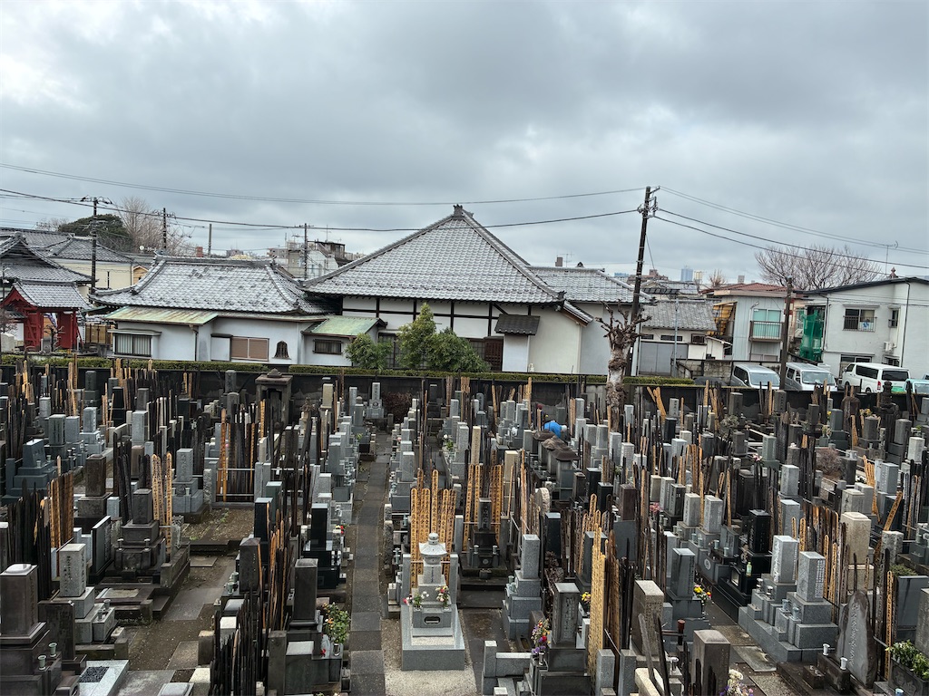 f:id:TokuheiKumagai:20260310124325j:image