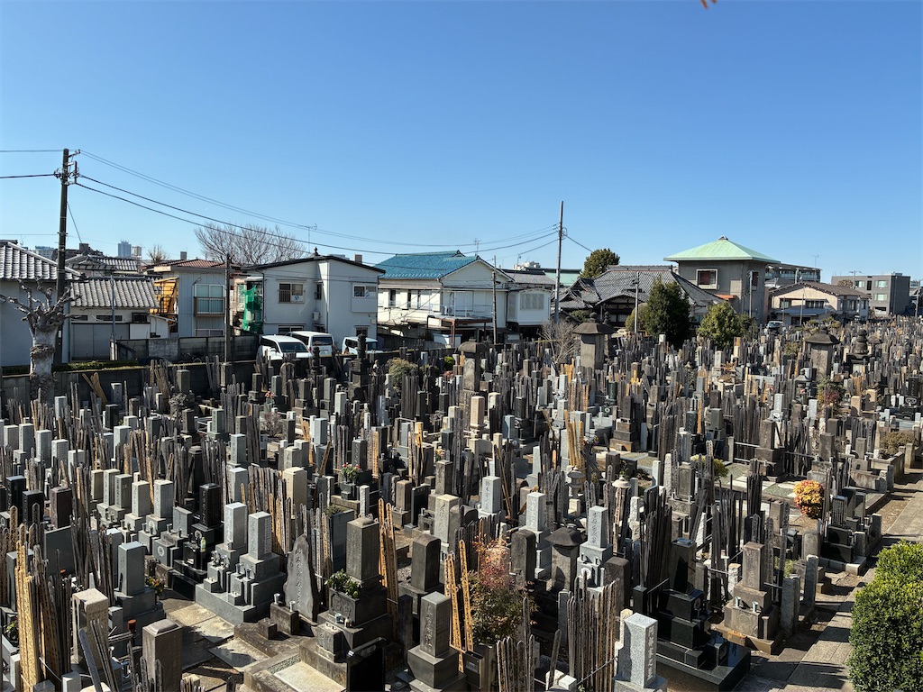 f:id:TokuheiKumagai:20260314141155j:image