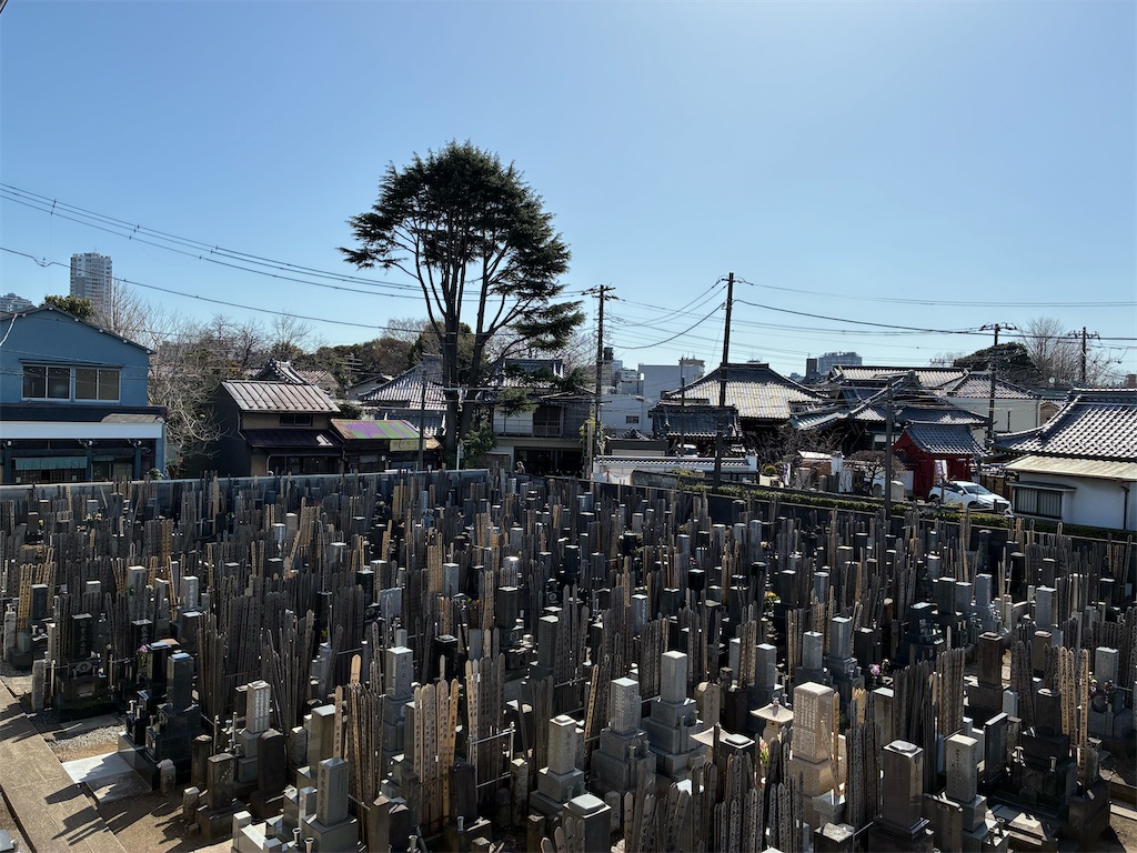f:id:TokuheiKumagai:20260314141159j:image