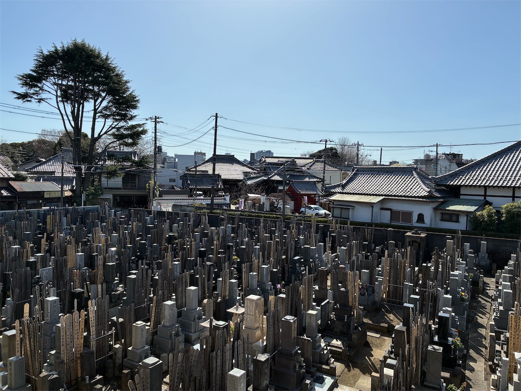 f:id:TokuheiKumagai:20260314141208j:image
