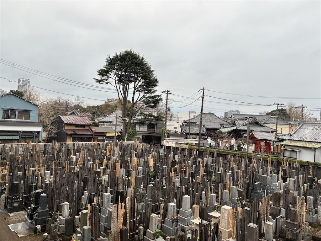 f:id:TokuheiKumagai:20260321000815j:image