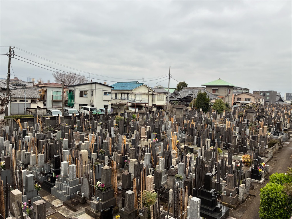 f:id:TokuheiKumagai:20260321000819j:image