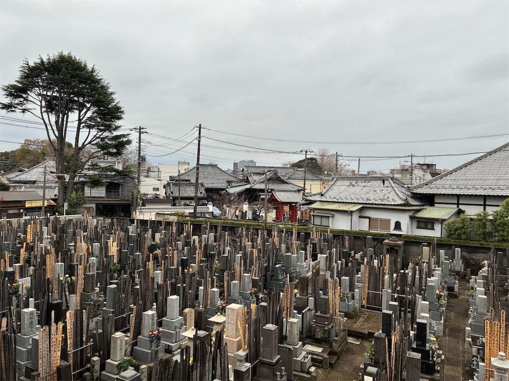 f:id:TokuheiKumagai:20260321000822j:image