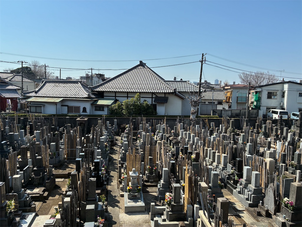 f:id:TokuheiKumagai:20260321181926j:image