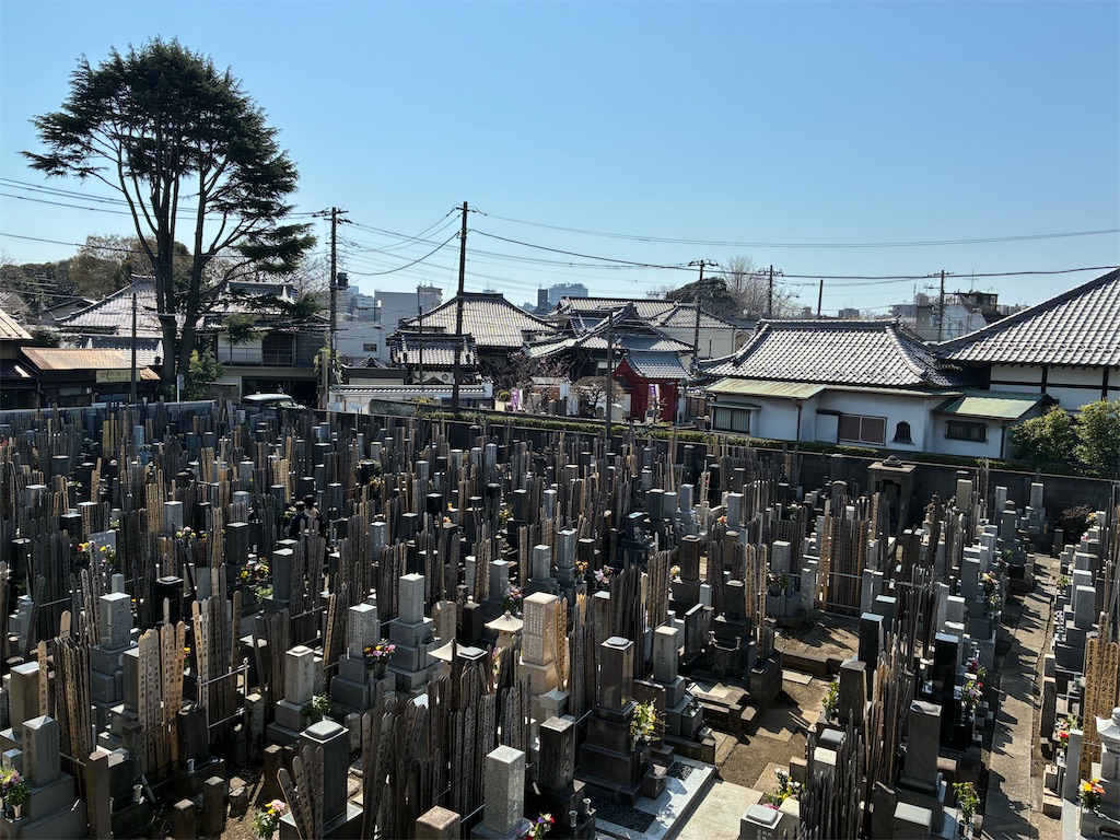 f:id:TokuheiKumagai:20260321181929j:image