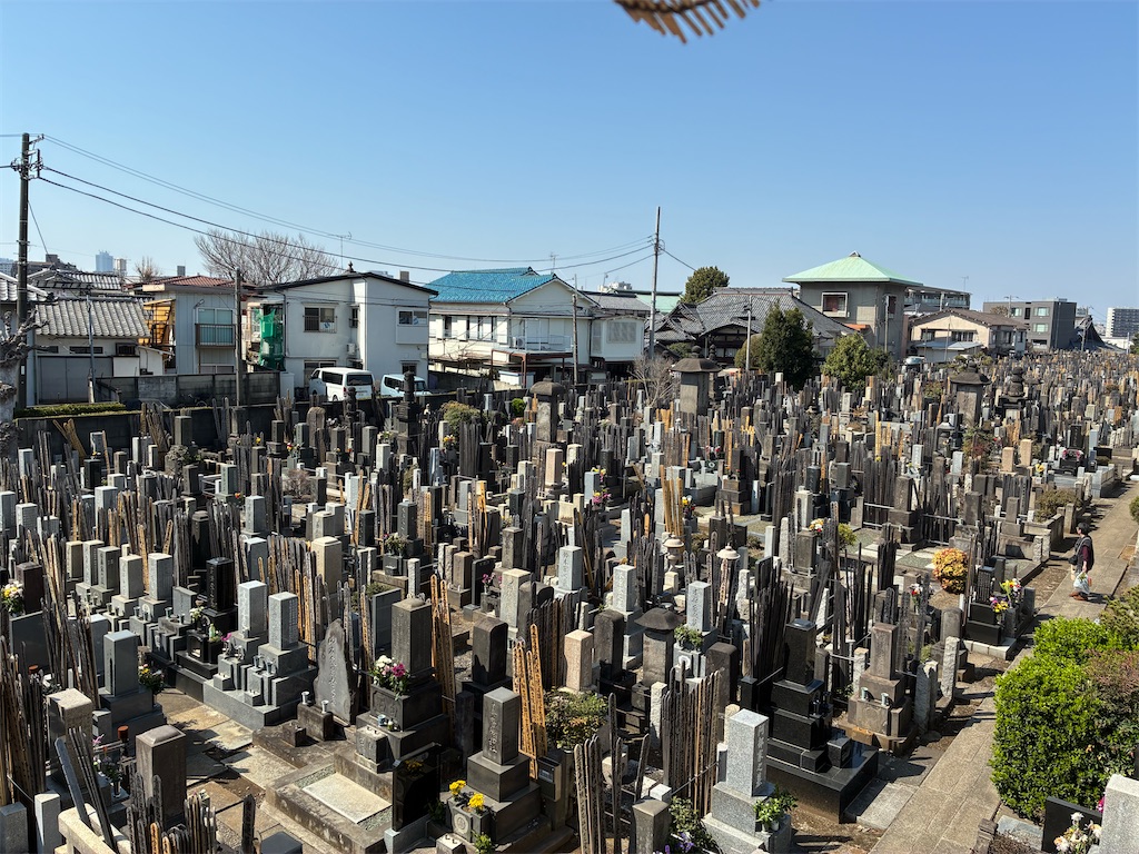 f:id:TokuheiKumagai:20260321181934j:image
