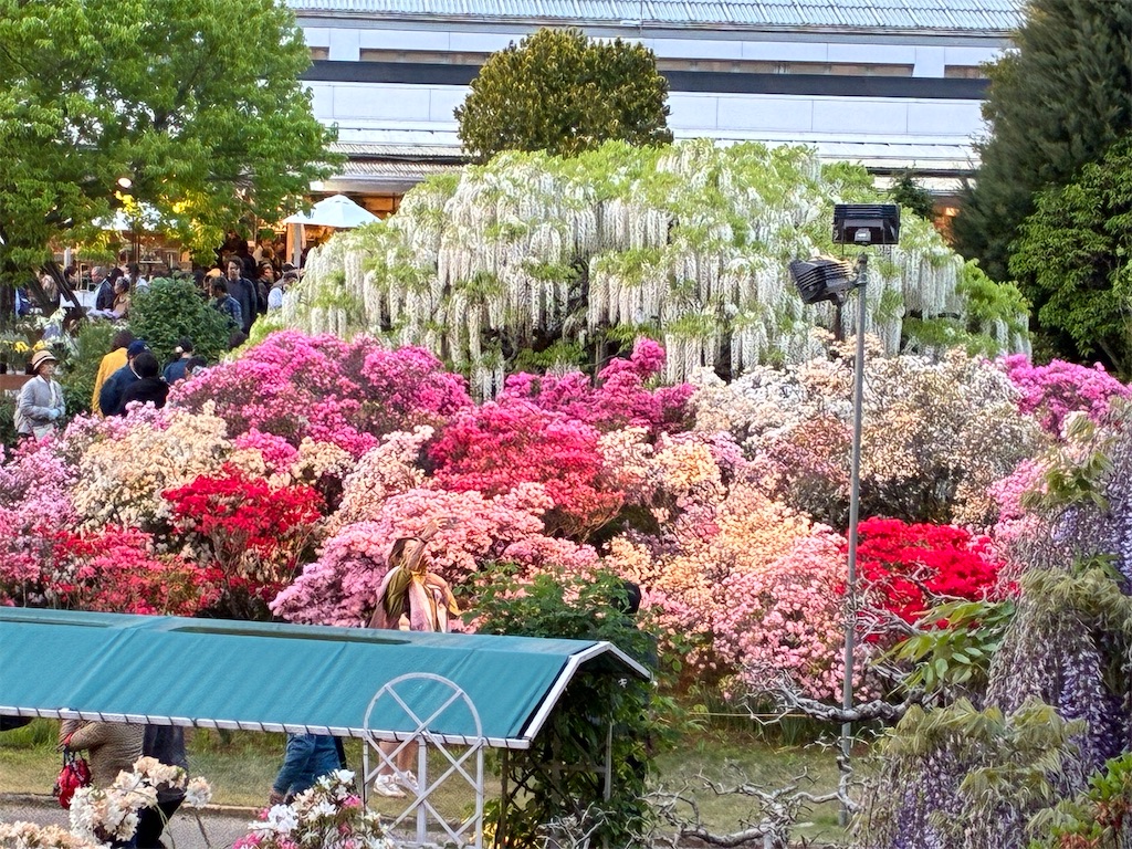 f:id:TokuheiKumagai:20260426002814j:image f:id:TokuheiKumagai:20260426002814j:image