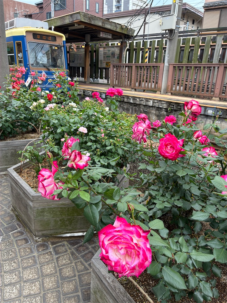 f:id:TokuheiKumagai:20260503192553j:image f:id:TokuheiKumagai:20260503192553j:image