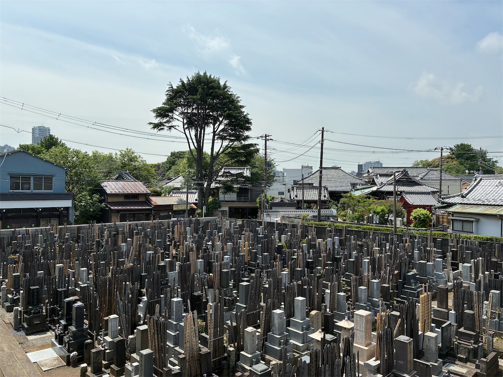 f:id:TokuheiKumagai:20260507113554j:image