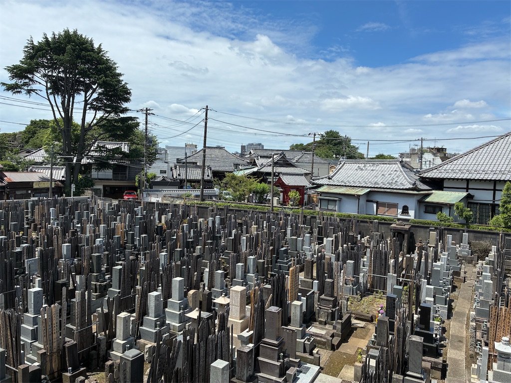 f:id:TokuheiKumagai:20260606154406j:image f:id:TokuheiKumagai:20260606154406j:image