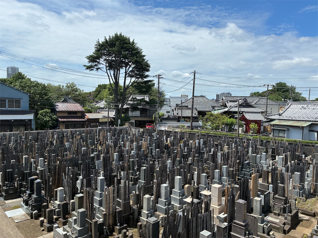 f:id:TokuheiKumagai:20260606154411j:image f:id:TokuheiKumagai:20260606154411j:image