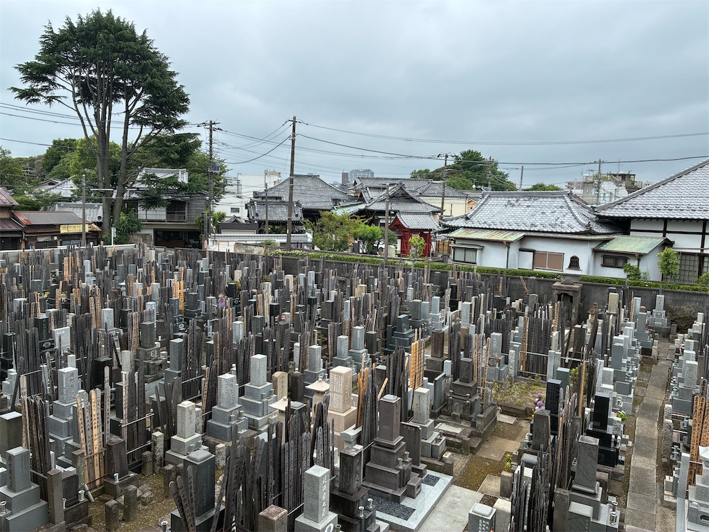 f:id:TokuheiKumagai:20260607175723j:image f:id:TokuheiKumagai:20260607175723j:image