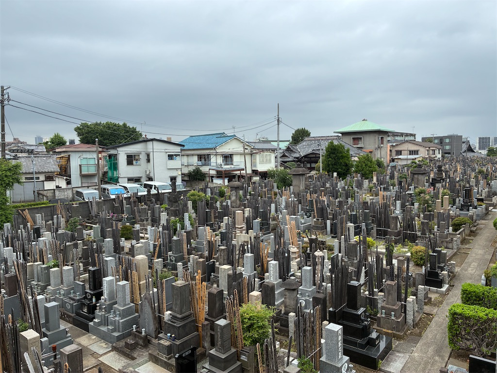 f:id:TokuheiKumagai:20260607175727j:image f:id:TokuheiKumagai:20260607175727j:image