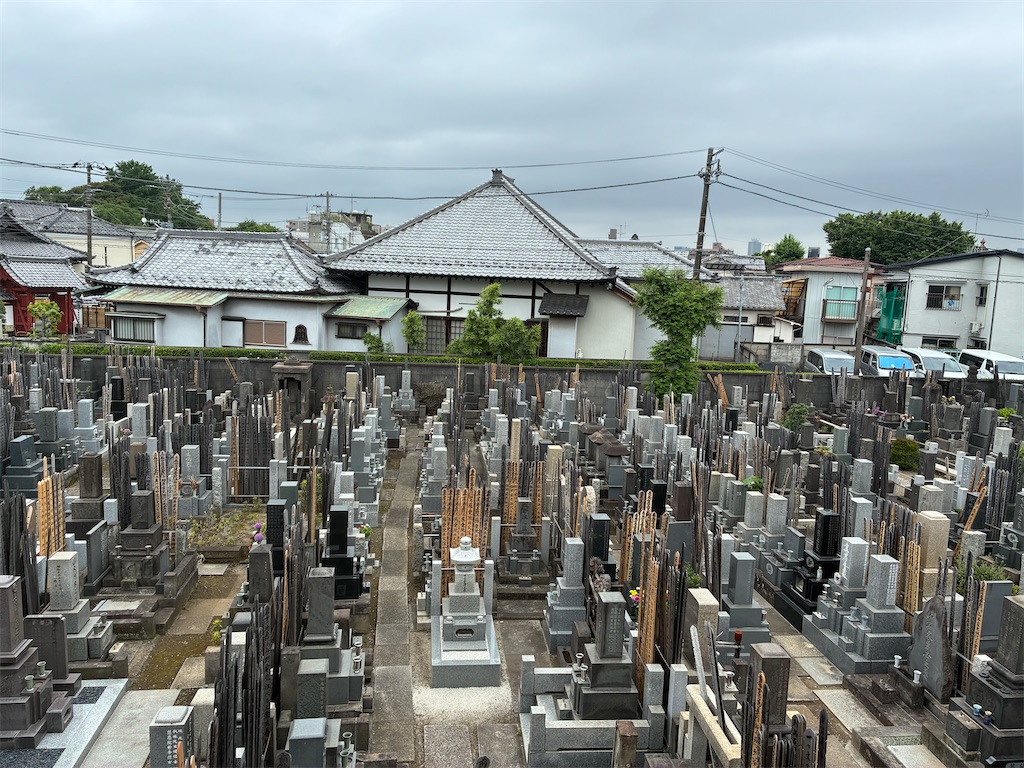 f:id:TokuheiKumagai:20260607175730j:image f:id:TokuheiKumagai:20260607175730j:image