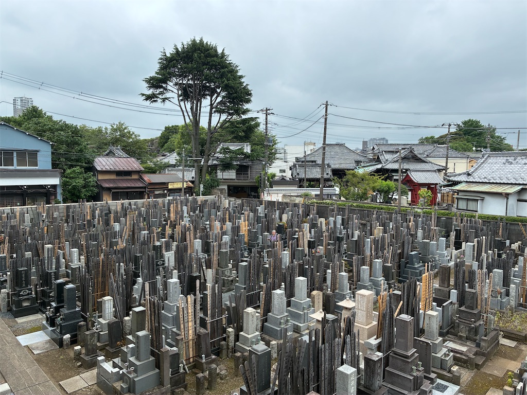 f:id:TokuheiKumagai:20260607175734j:image f:id:TokuheiKumagai:20260607175734j:image