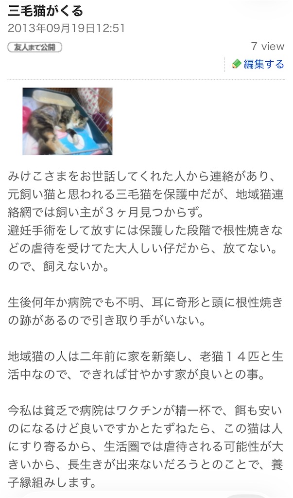 f:id:TokuheiKumagai:20260607184253j:image f:id:TokuheiKumagai:20260607184253j:image