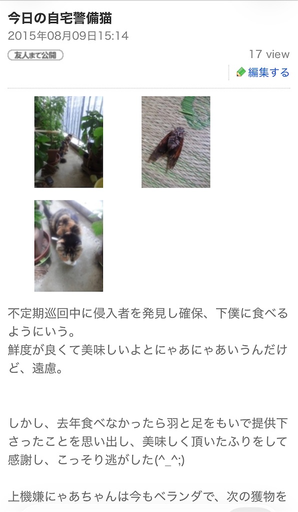 f:id:TokuheiKumagai:20260608052115j:image f:id:TokuheiKumagai:20260608052115j:image