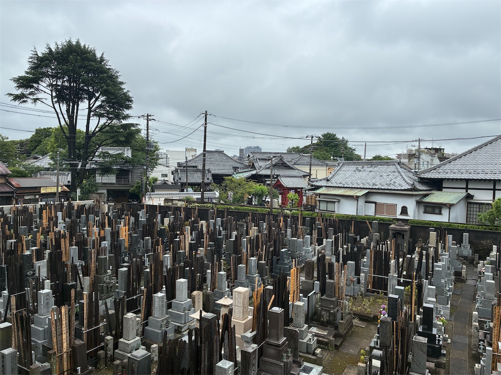 f:id:TokuheiKumagai:20260608123331j:image f:id:TokuheiKumagai:20260608123331j:image