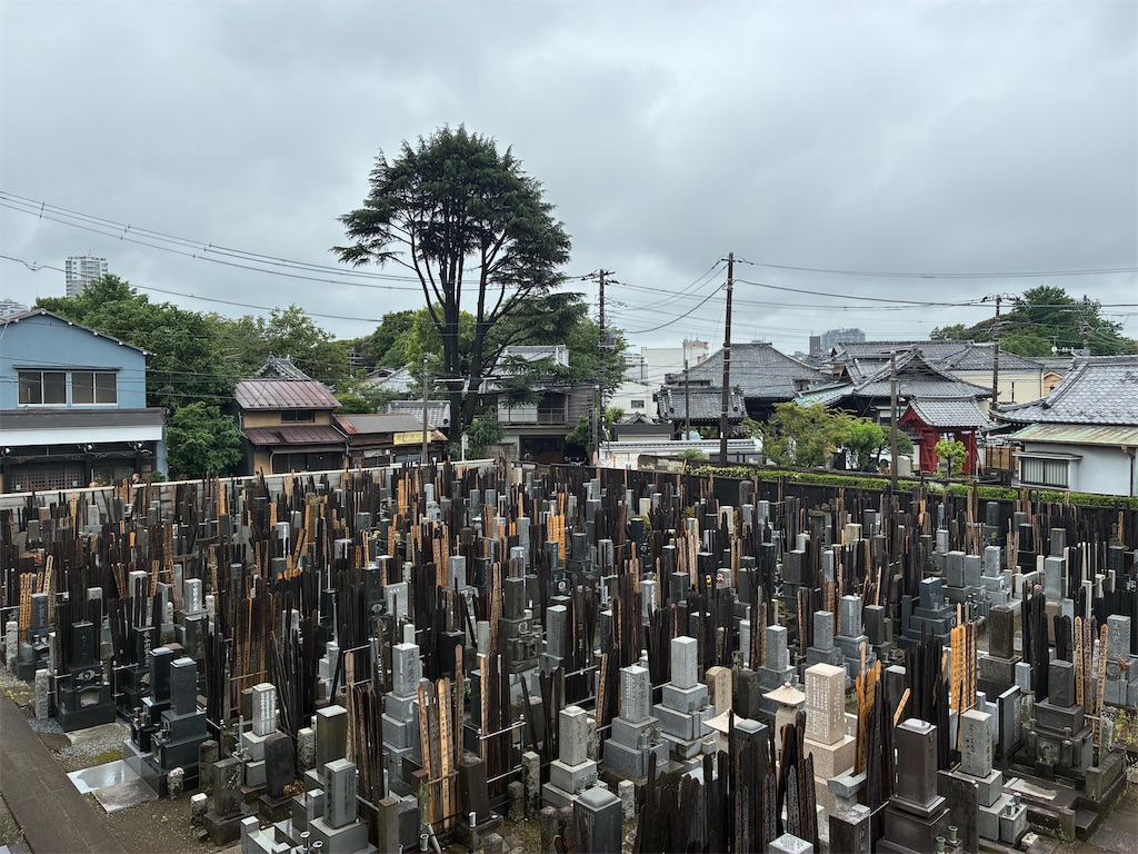 f:id:TokuheiKumagai:20260608123334j:image f:id:TokuheiKumagai:20260608123334j:image