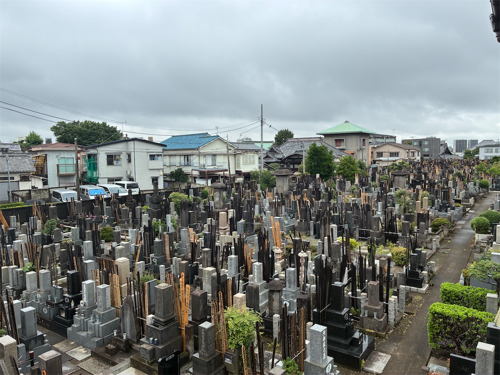 f:id:TokuheiKumagai:20260608123338j:image f:id:TokuheiKumagai:20260608123338j:image