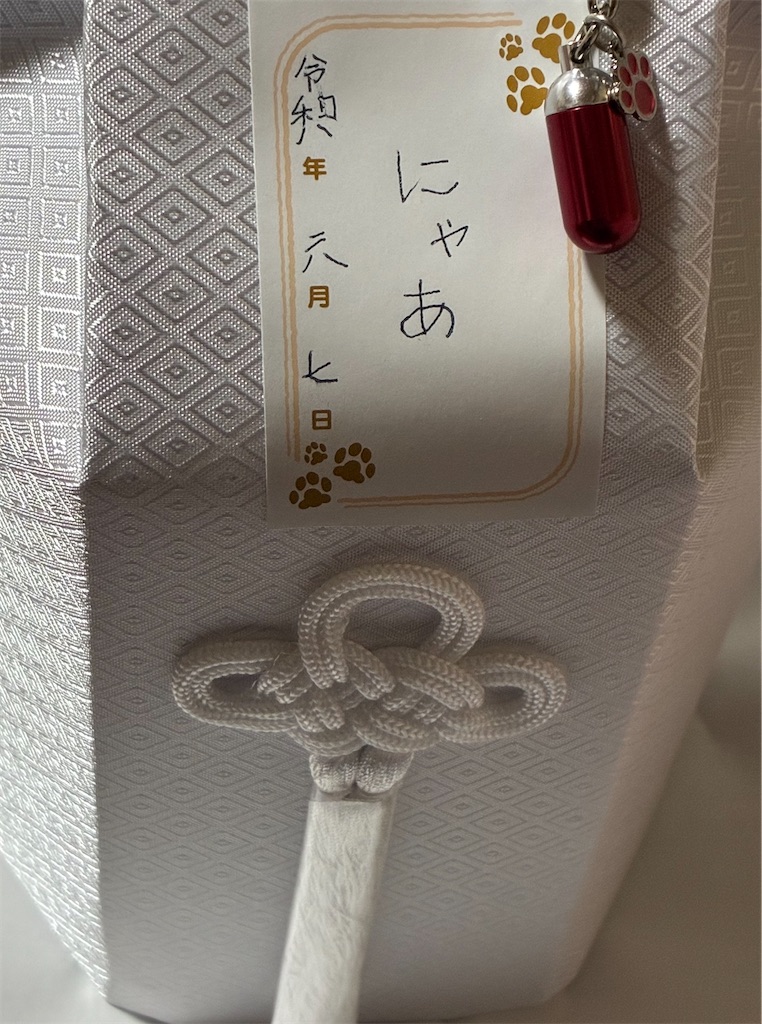 f:id:TokuheiKumagai:20260608135838j:image f:id:TokuheiKumagai:20260608135838j:image