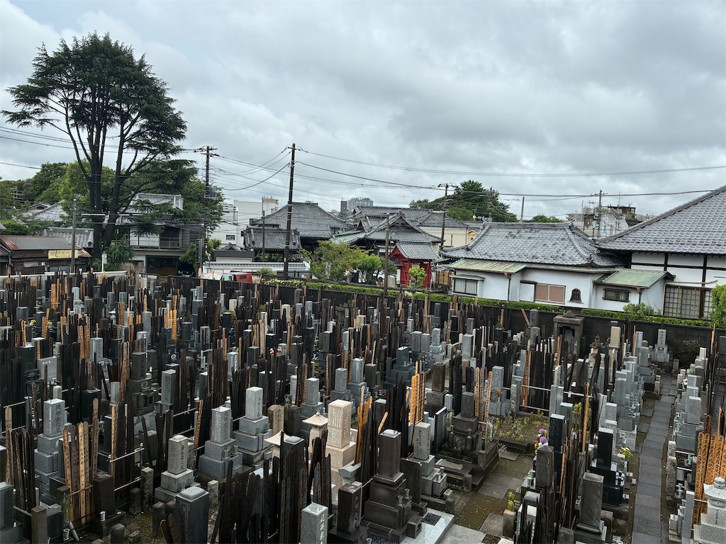 f:id:TokuheiKumagai:20260609110002j:image f:id:TokuheiKumagai:20260609110002j:image