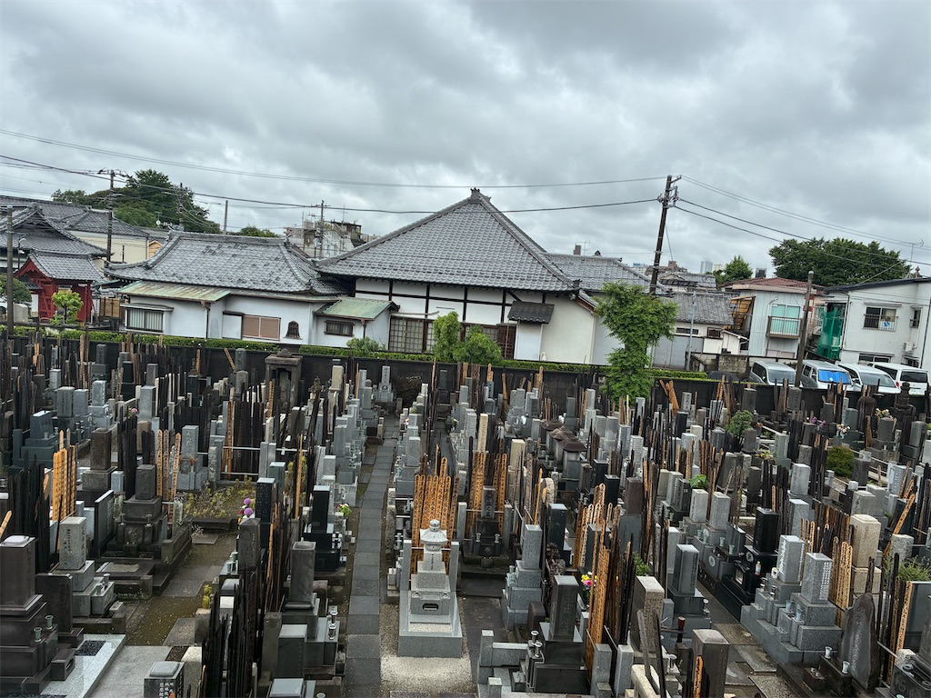 f:id:TokuheiKumagai:20260609110005j:image f:id:TokuheiKumagai:20260609110005j:image