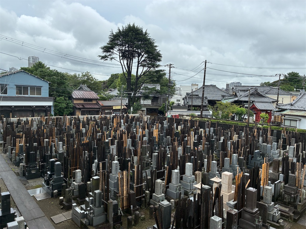 f:id:TokuheiKumagai:20260609110008j:image f:id:TokuheiKumagai:20260609110008j:image
