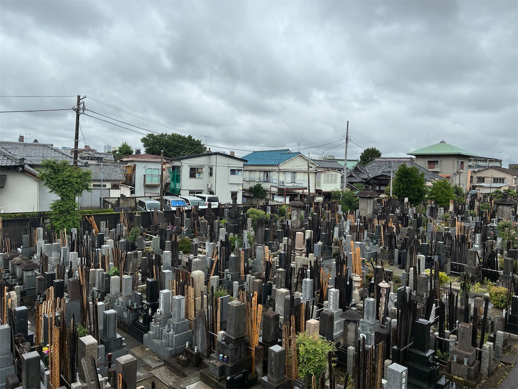 f:id:TokuheiKumagai:20260609110013j:image f:id:TokuheiKumagai:20260609110013j:image