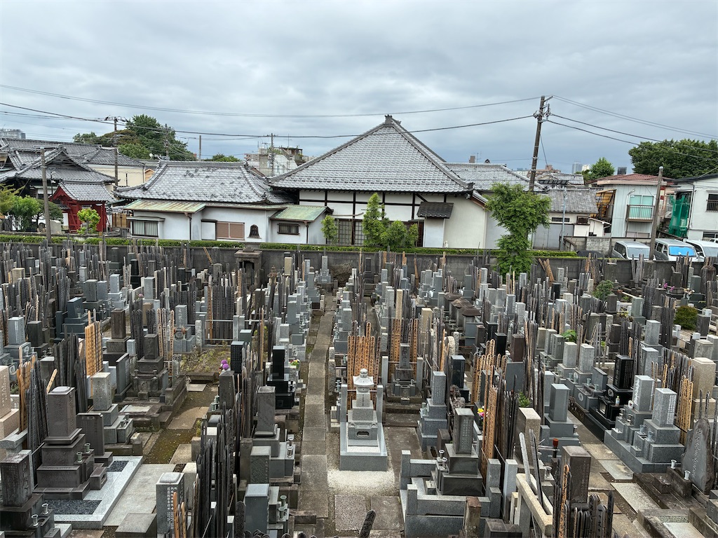 f:id:TokuheiKumagai:20260610121035j:image