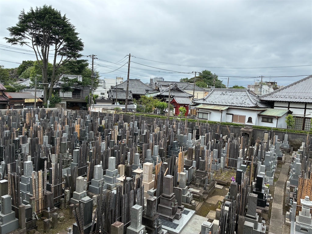 f:id:TokuheiKumagai:20260610121039j:image