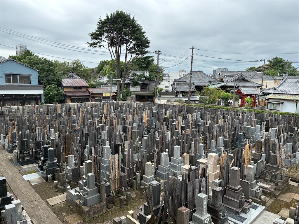 f:id:TokuheiKumagai:20260610121042j:image