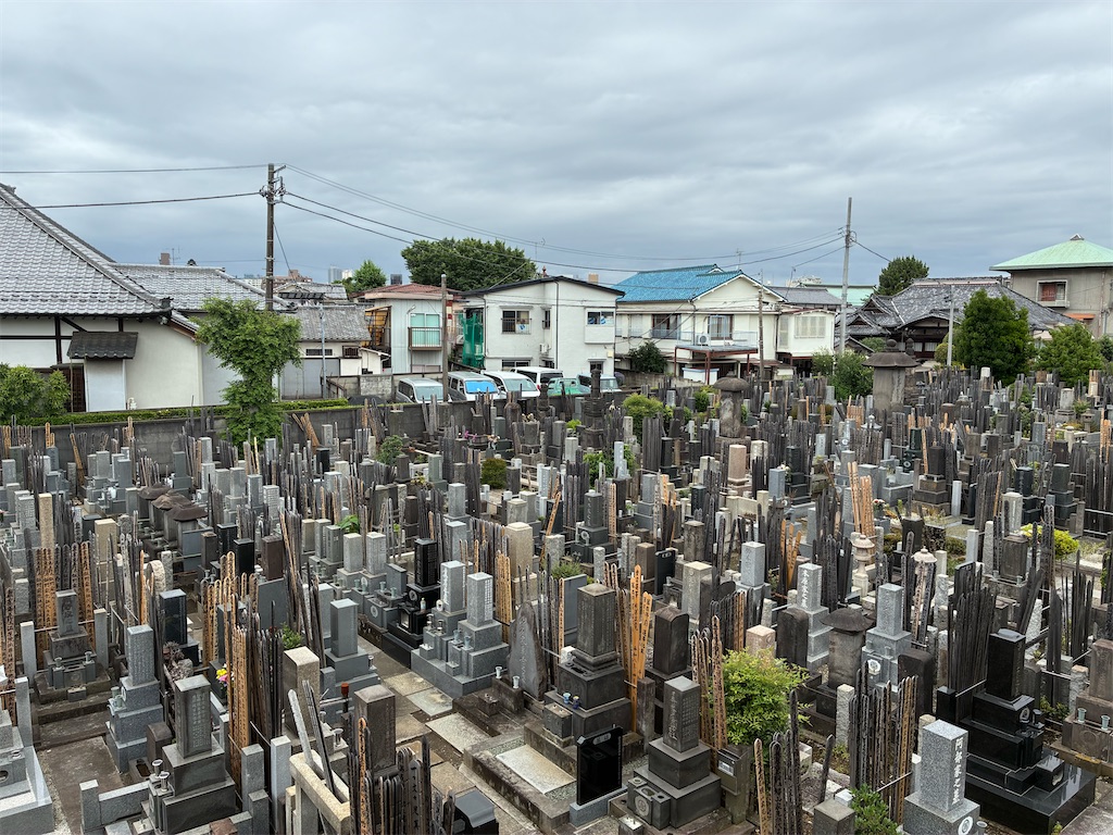 f:id:TokuheiKumagai:20260610121045j:image