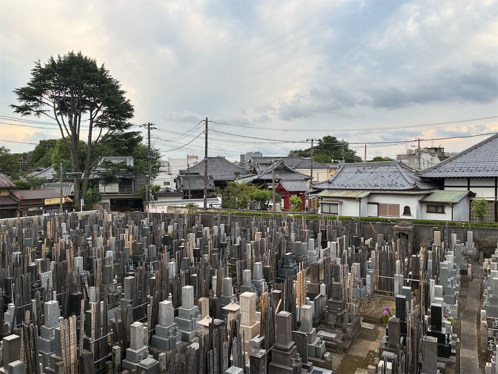f:id:TokuheiKumagai:20260611213247j:image