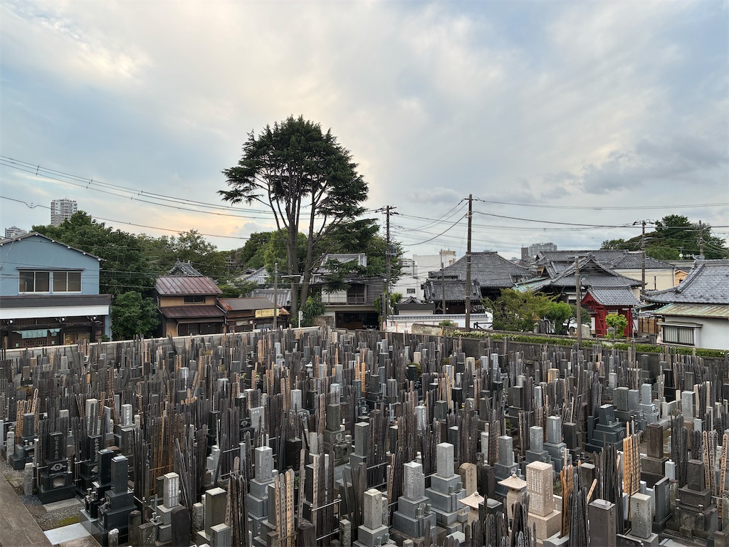 f:id:TokuheiKumagai:20260611213258j:image