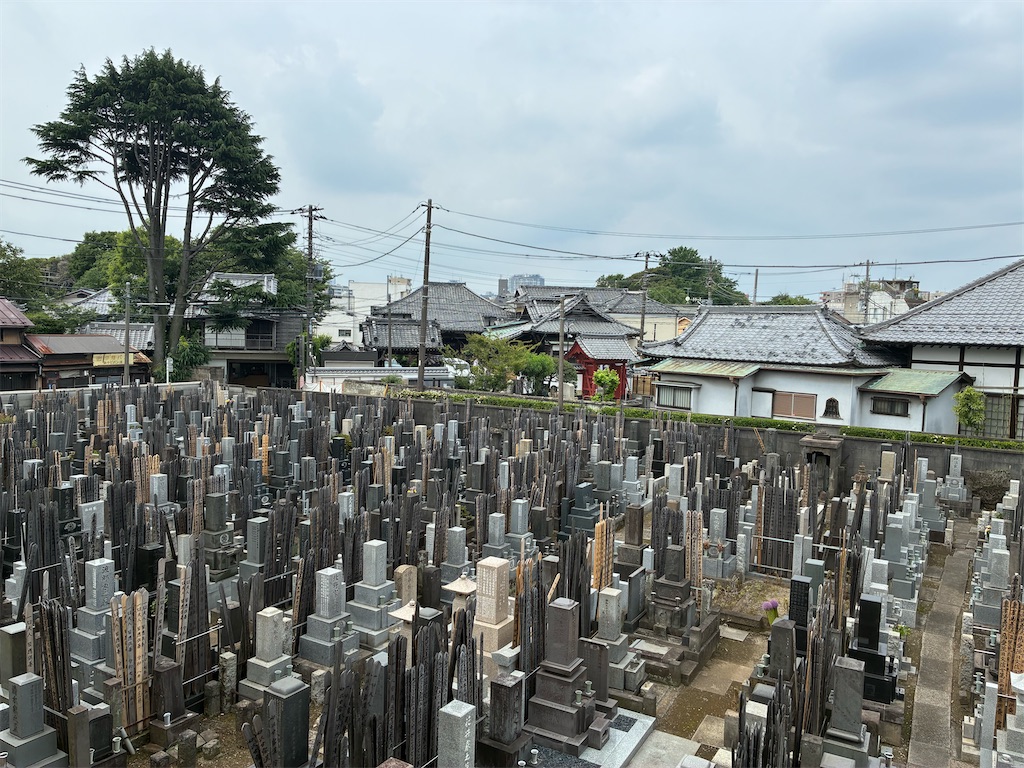 f:id:TokuheiKumagai:20260614094753j:image