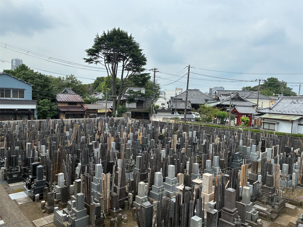 f:id:TokuheiKumagai:20260614094757j:image