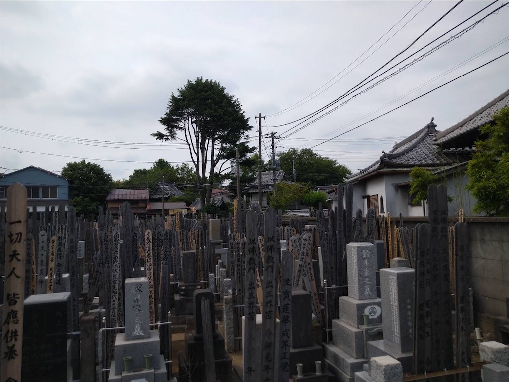 f:id:TokuheiKumagai:20260614100634j:image