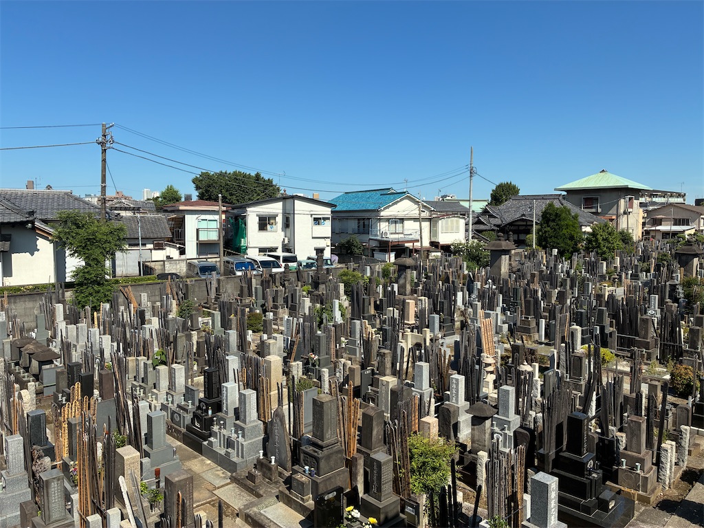 f:id:TokuheiKumagai:20260617145257j:image