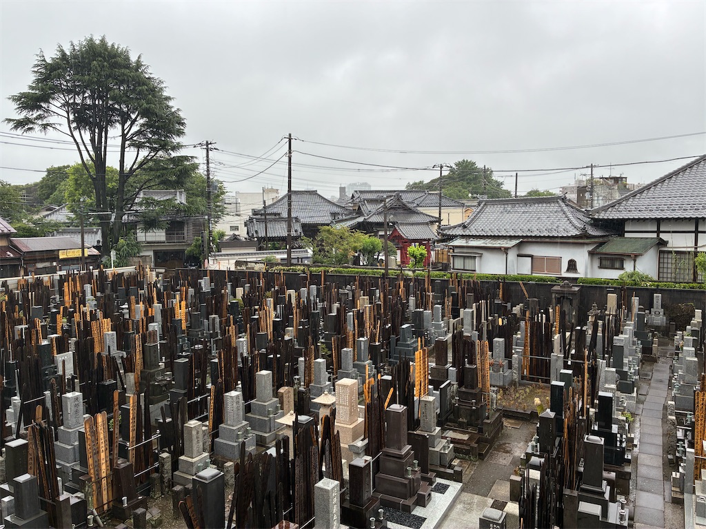 f:id:TokuheiKumagai:20260618171623j:image f:id:TokuheiKumagai:20260618171623j:image